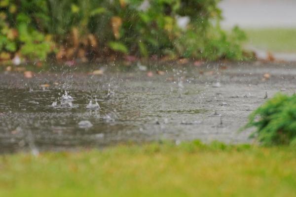 梦见下雨路上都是泥,很不好走