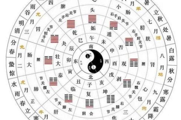 八字排盘免费版(问真八字排盘免费版)