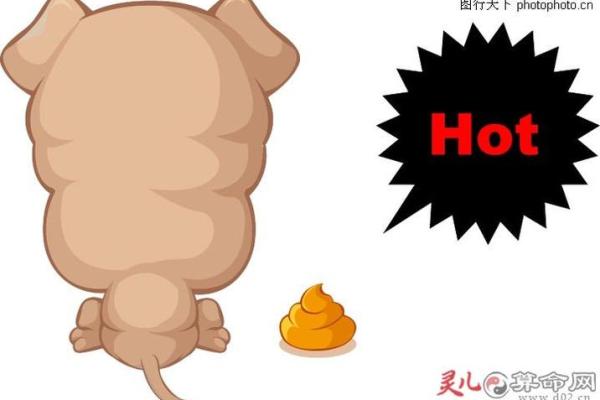 梦见衣服上有屎