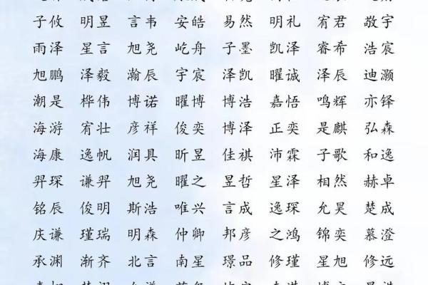 2025年最旺男孩名字(2025年最旺男孩名字大全)