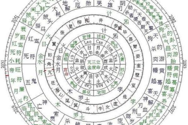 紫微斗数108星宿全解(紫微斗数星宿详解)