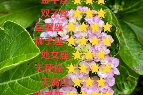 白羊座今日运势女(白羊座今日运势女)