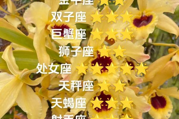白羊座今日运势女(白羊座今日运势女)