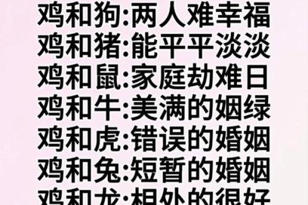 鸡和兔相配婚姻如何(鸡和兔相配婚姻如何)