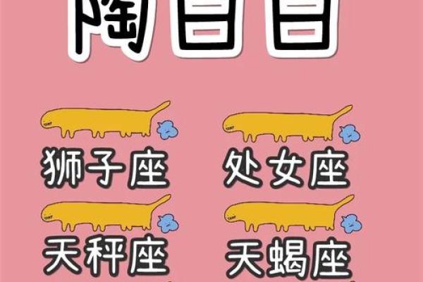 天秤女和什么座最配对(天秤女和什么座最配对陶白白)