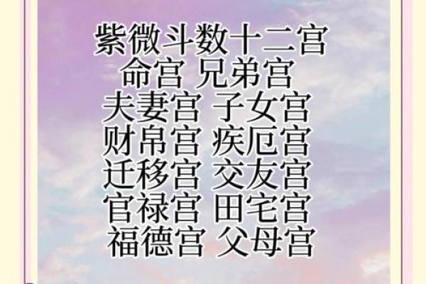 八字和紫微斗数哪个比较准(八字和紫微斗数的区别)