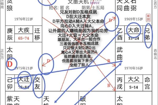 八字和紫微斗数哪个比较准(八字和紫微斗数的区别)