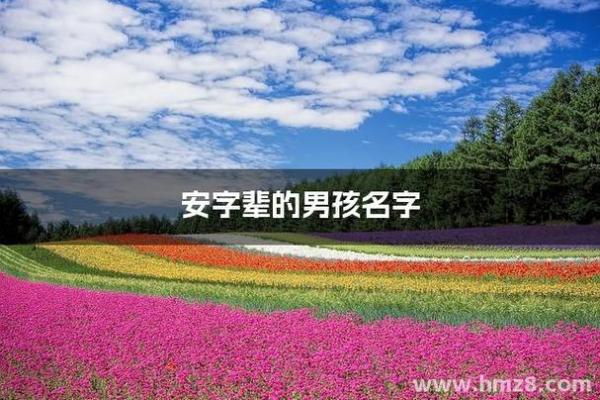 安字取名(安字取名男孩有寓意)