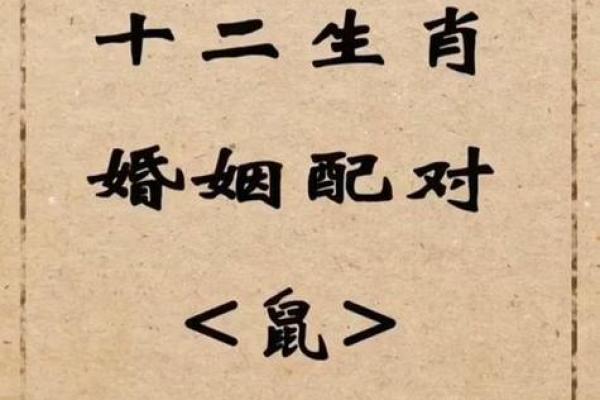 鼠和猴相配婚姻如何(男鼠女鼠婚姻是否相配,财运如何)