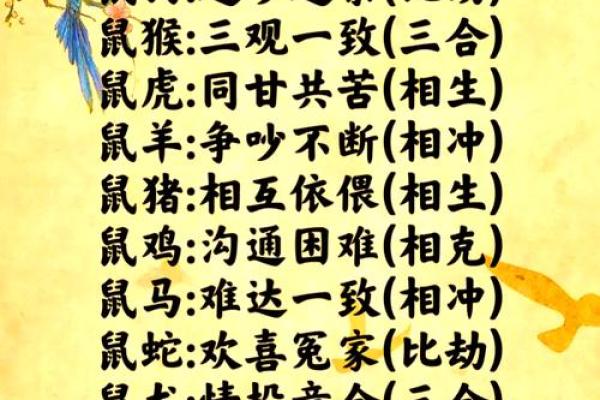 鼠和猴相配婚姻如何(男鼠女鼠婚姻是否相配,财运如何)
