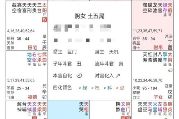 命盘测试免费(命盘自测)