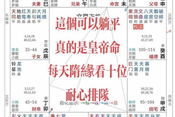 紫微斗数命格(紫微斗数命格查询免费)