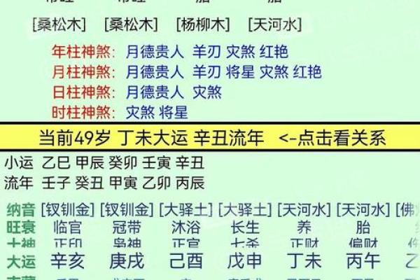 八字排盘详解(免费版)(八字排盘详解(免费版)下载)