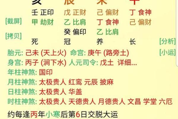 八字排盘详解(免费版)(八字排盘详解(免费版)下载)