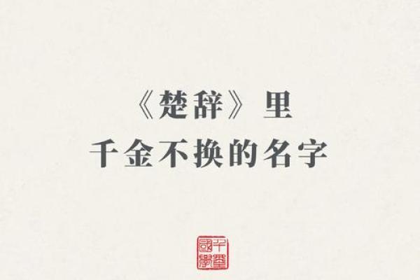 楚辞500名字 男孩(楚辞500名字 男孩属龙胡姓)