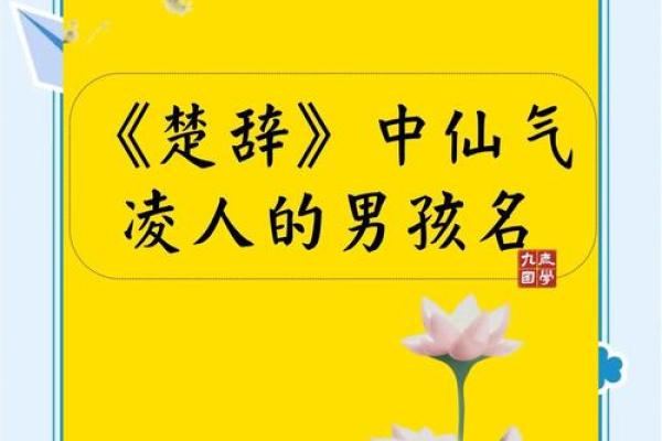 楚辞500名字 男孩(楚辞500名字 男孩属龙胡姓)