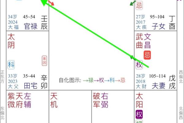紫微斗数看配偶身材(紫微斗数看配偶身材)