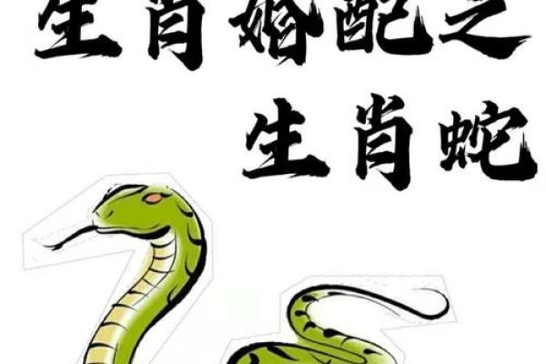 蛇男和蛇女相配婚姻如何(蛇男蛇女相配婚姻如何呢)