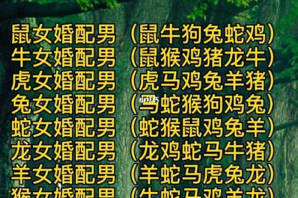 十二生肖婚姻配对大全(十二生肖婚姻配对大全表鼠和鸡)