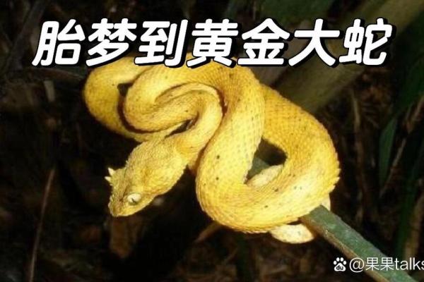 梦见很多蛇在水里