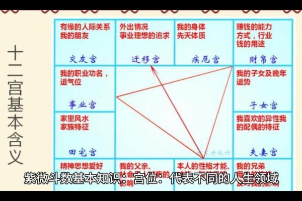 紫微斗数凤阁是什么意思(紫微斗数是什么意思)