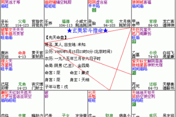 紫微斗数凤阁是什么意思(紫微斗数是什么意思)