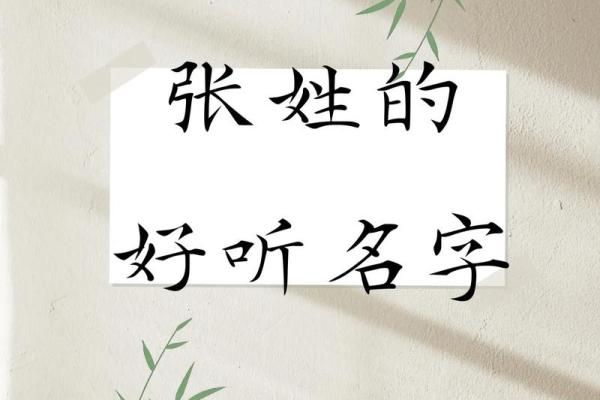 100分张姓女孩名(100分张姓女孩名23年的出生)