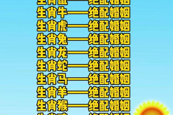 12生肖婚姻最佳配对(12生肖婚姻最佳配对)
