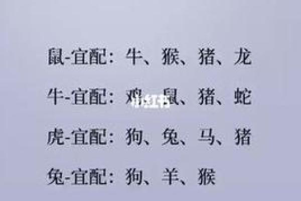 12生肖婚姻最佳配对(12生肖婚姻最佳配对)