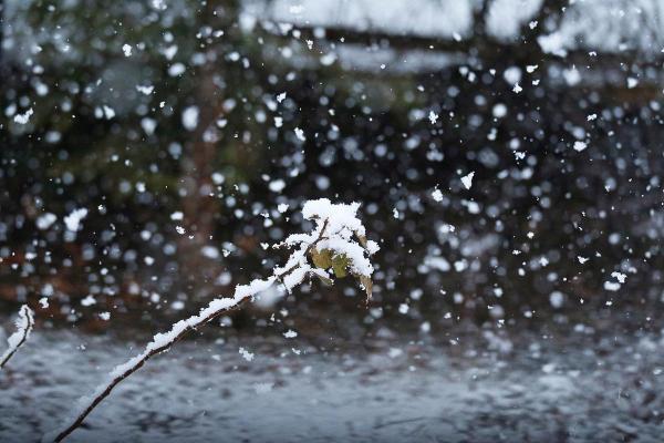 梦见下雪下雨是什么征兆 女性
