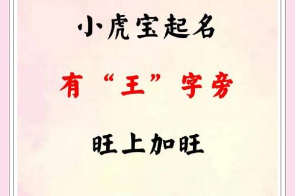 虎宝宝取名字最佳字(虎宝宝取名字最佳字女孩)