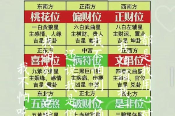 25年玄空飞星图(2016玄空飞星)