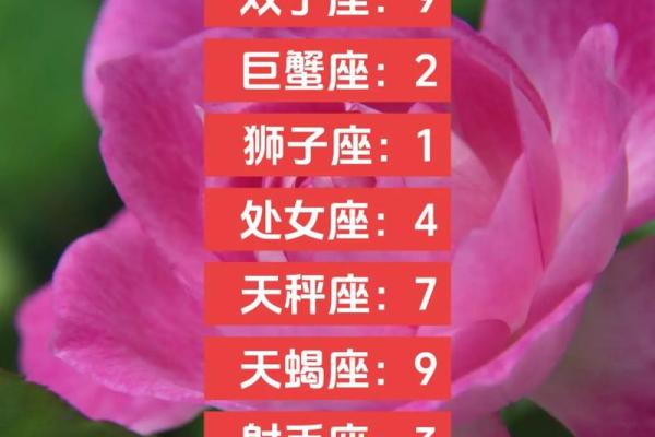 今天金牛座的运势(今天金牛座的运势幸运数字)