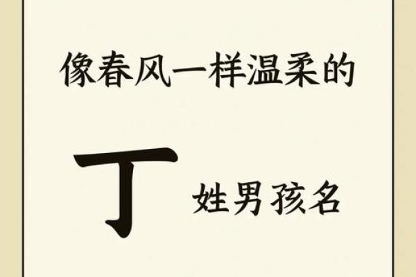 丁姓有灵气女孩名字(丁姓有灵气女孩名字四字)