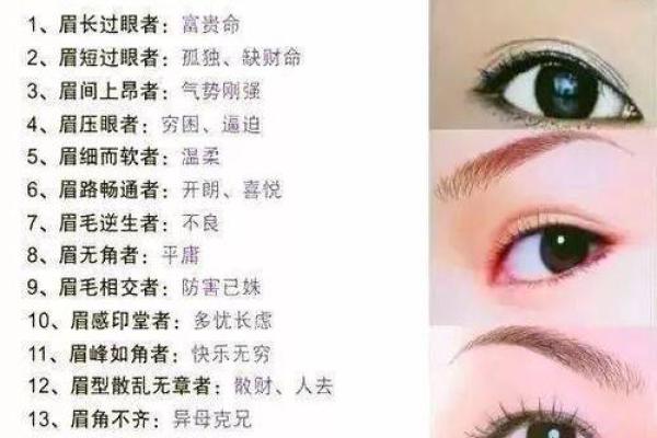 风水眉毛的讲解(风水眉毛的讲解图解)