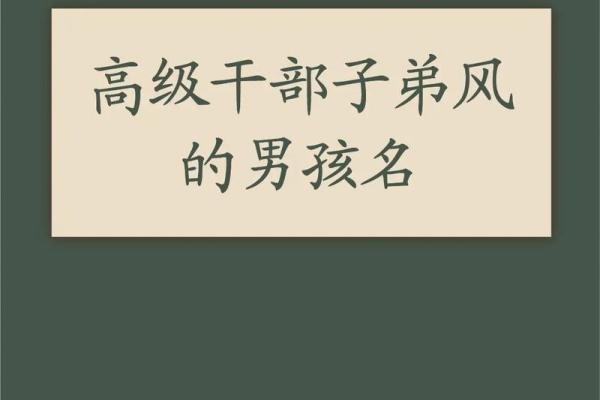 高姓100分取名男孩