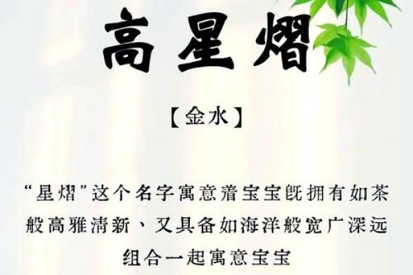 高姓100分取名男孩