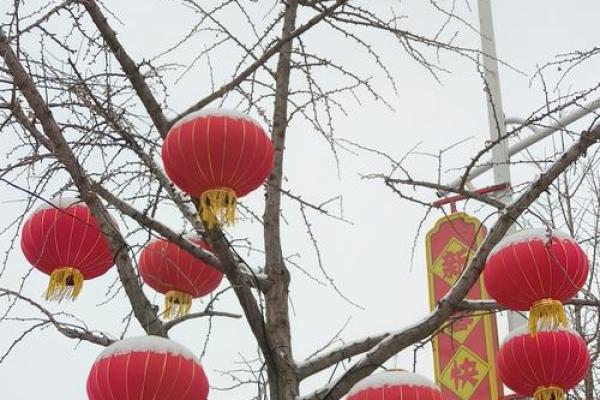 梦到下雨下雪
