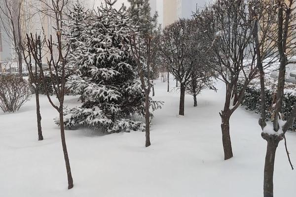 梦到下雨下雪