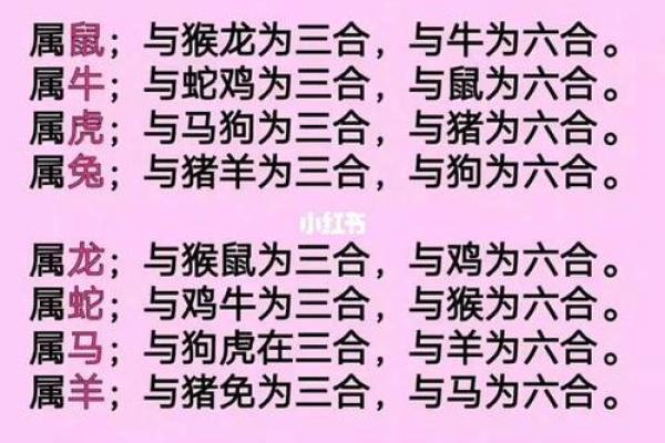 男鼠和女虎相配婚姻如何(男鼠女虎千万别在一起)