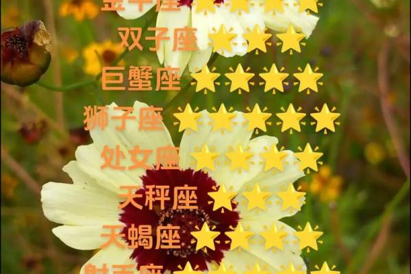 白羊座今日最新运势(白羊座今日偏财运)