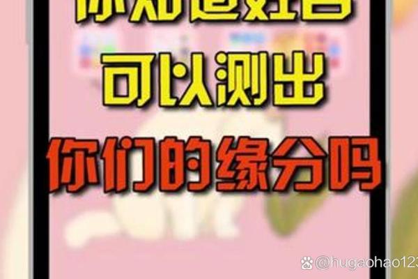 姓名配对姻缘免费测试(姓名配对免费测试两人关系)