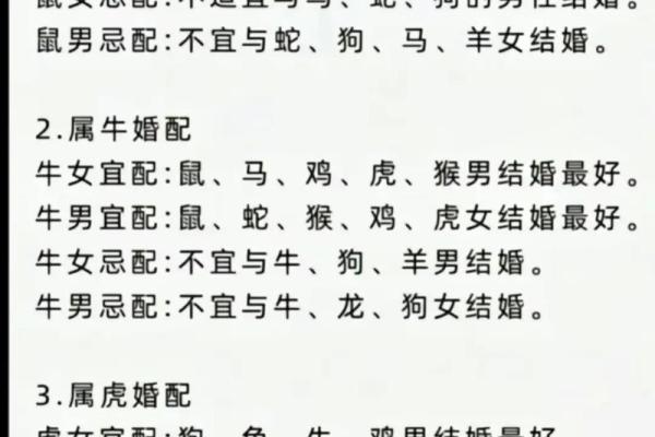 96男鼠99女兔八字合不合(96男鼠99女兔生什么属相的宝宝)