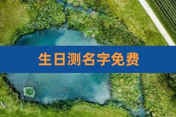 1518公司测名免费(1518公司测名免费测试分数)