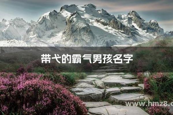 弋字女孩最佳取名字(弋字女孩最佳取名字寓意)