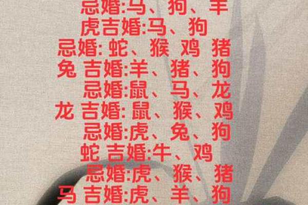 男兔和女牛相配婚姻如何(男兔女牛属于上等婚姻)