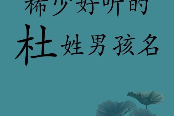 杜100分男孩取名(杜的男孩名字)