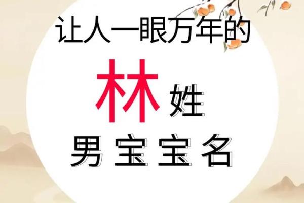 林姓好听稀少的男孩名字(林姓好听稀少的男孩名字带醉字)