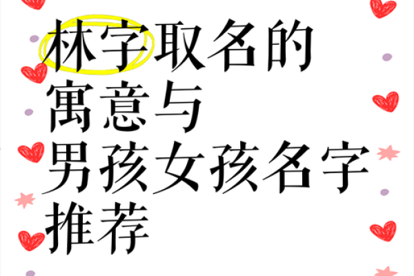 1200个女孩名字(1200个女孩名字林)