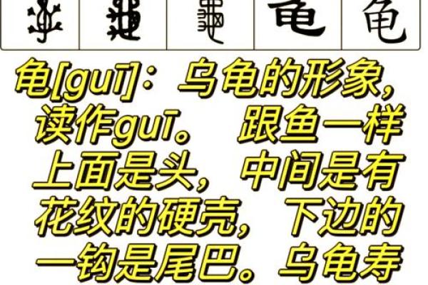 每日一卦六爻占卜(每日一卦六爻占卜龟)
